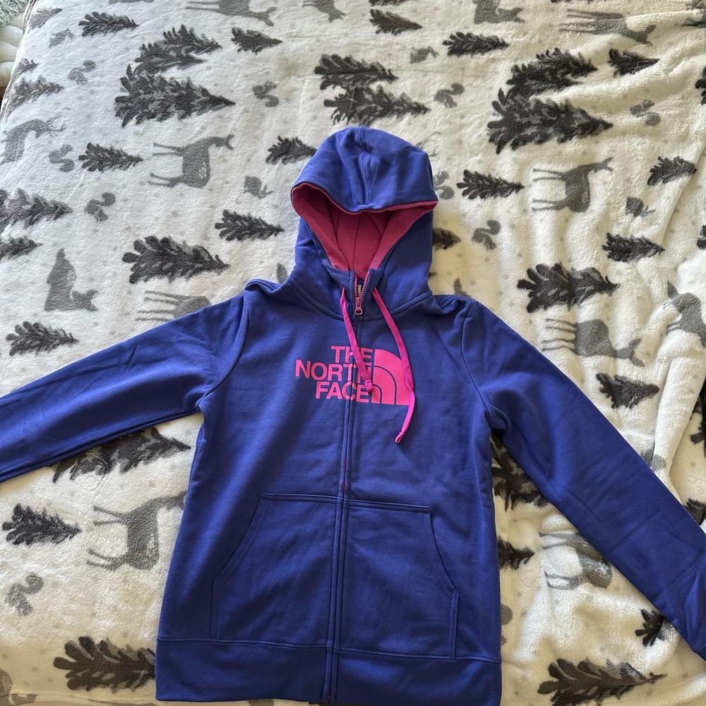 The North Face Blue and Pink Hoodie